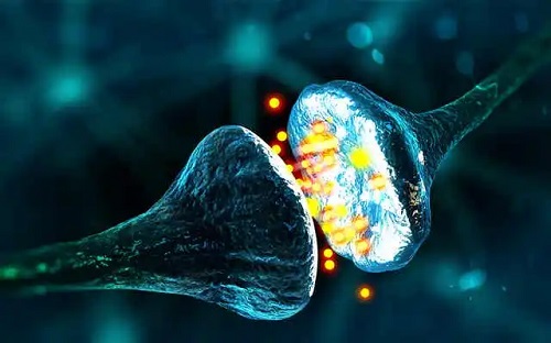 Neuroni care se conectează