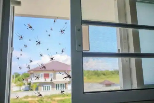 Tipuri de plase de țânțari pentru case
