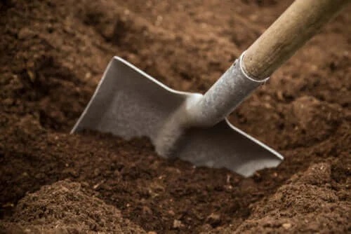 Tipuri de sol de grădină și caracteristicile acestora