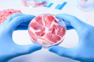 Beneficiile cărnii sintetice și părțile negative ale consumului