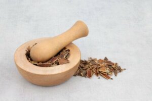 Cascara sagrada: origine, beneficii și riscuri posibile