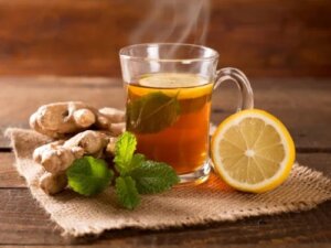 Infuzie pentru digestie: boldo, mentă, ghimbir și fenicul