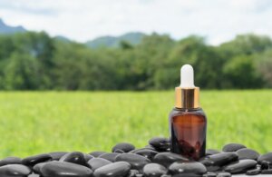Uleiul de ricin negru jamaican: origine, beneficii și proprietăți