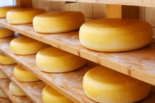 Calupuri de brânză cheddar