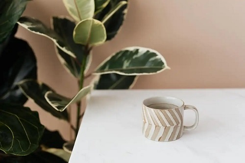 Cană de cafea