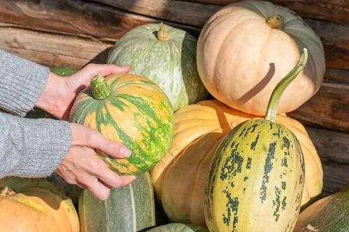 Dovleci de diverse soiuri