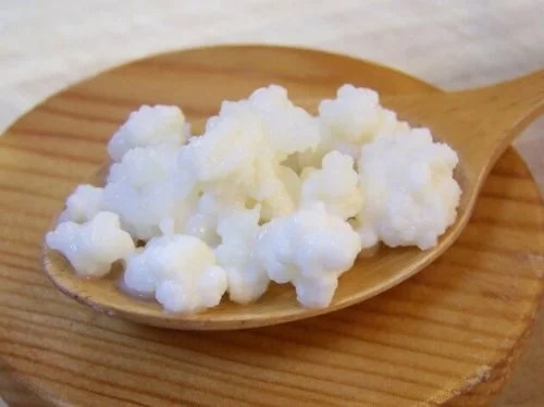 Lingură cu granule de chefir