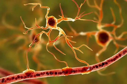 Neuroni interconectați
