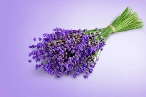 6 plante pentru ameliorarea durerii cu proprietăți analgezice