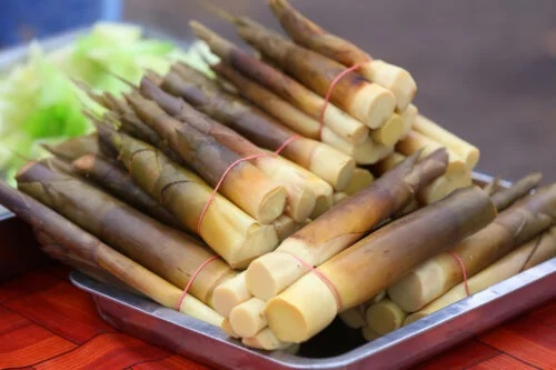 Beneficiile, utilizarea și prepararea mugurilor de bambus