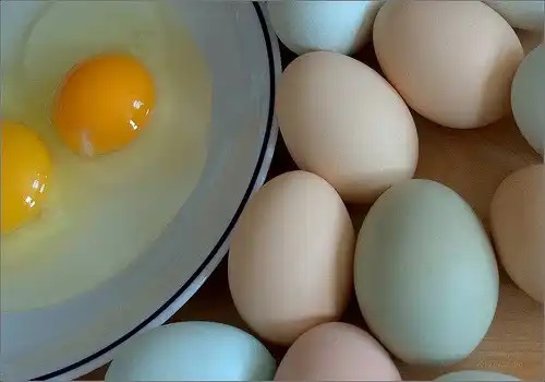 Tipuri de ouă