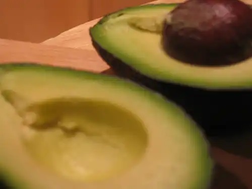 Avocado copt