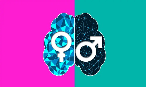 Diferența dintre sex și gen la nivelul creierului