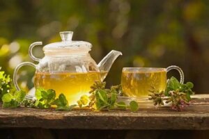 Infuzii medicinale pentru combaterea varicelor