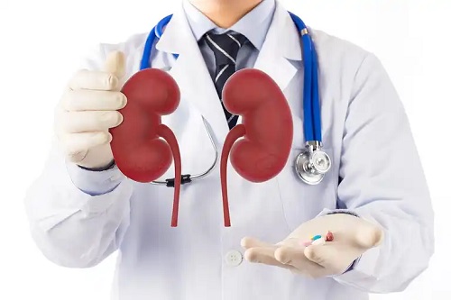 Medic care tratează rinichii