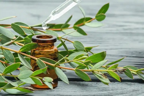 Remedii naturiste pentru întărirea plămânilor