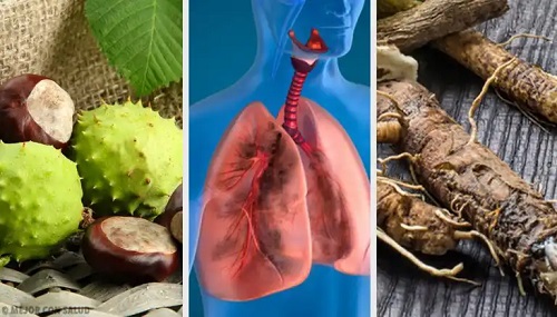 4 remedii naturiste pentru întărirea plămânilor în mod eficient