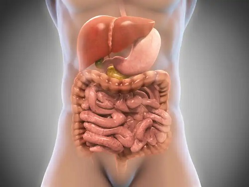Tract gastrointestinal la om