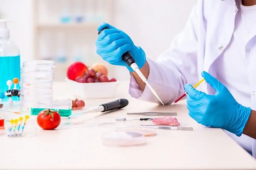 Alimentele modificate genetic sunt dăunătoare pentru sănătate