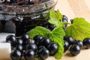 Utilizările, proprietățile și beneficiile coacăzelor negre