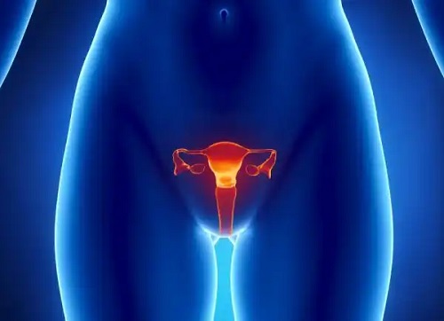 Sistem reproducător feminin