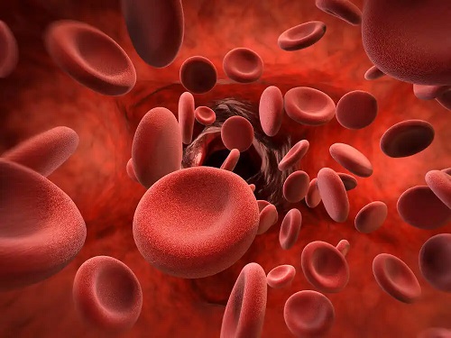 Globule roșii în sânge