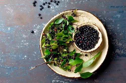 Maqui berry: nutrienți, beneficii și utilizări