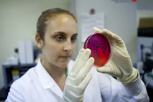 Medic care știe cum să tratezi salmonella