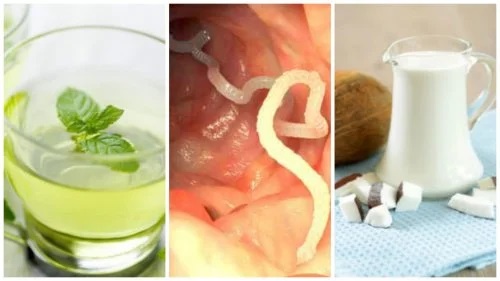 Remedii naturiste pentru eliminarea paraziților intestinali