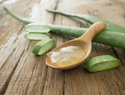 Remedii naturale pentru afte cu aloe vera