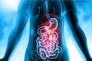 Care este timpul necesar pentru a digera alimentele?