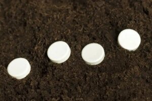 Aspirina la rădăcina plantelor: este de ajutor?