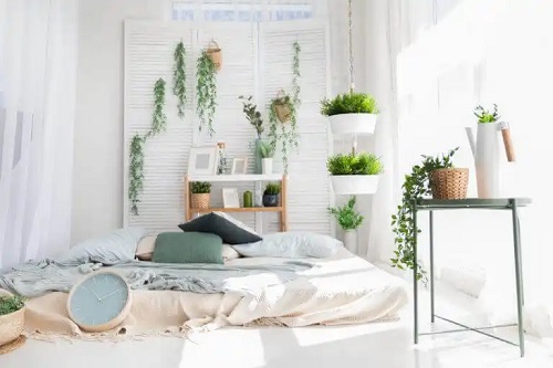 Este bine să dormi cu plante în cameră?