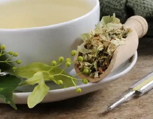 Cele mai bune plante care te pot ajuta să te îngrași