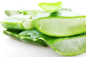 Proprietățile plantei aloe vera