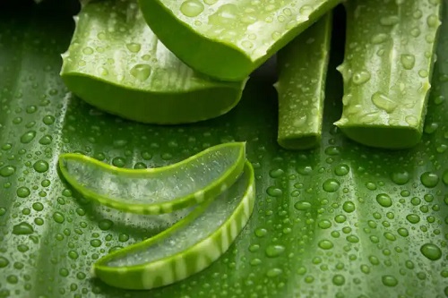 Remedii naturale pentru buze uscate cu aloe vera