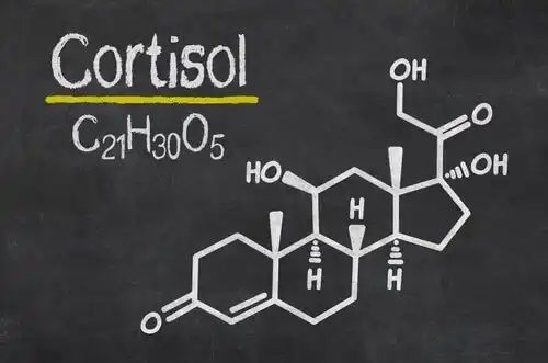 6 semne de cortizol ridicat în organism