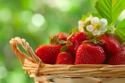 Căpșuni incluse în remedii naturale pentru întărirea vaselor de sânge