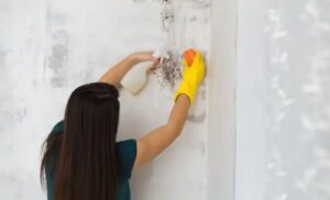 Cum să eliminați mucegaiul din casă