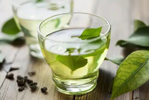 Infuzie de boldo