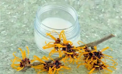 Remedii naturiste pentru prurit cu hamamelis