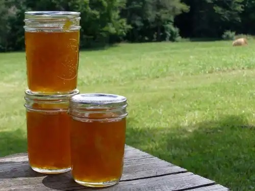 Remediu natural care combate gripa și răceala