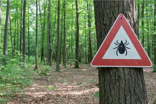 Semn ce indică prezența căpușelor