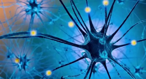 Serotonină la nivel neuronal