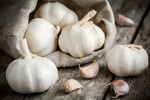 Usturoiul pe lista de remedii naturale pentru mastită