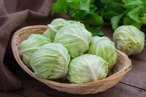Varza ca remediu natural pentru hernii