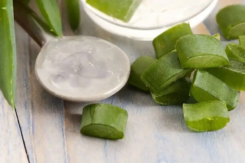 Aloe vera în soluții pentru tratarea varicelor