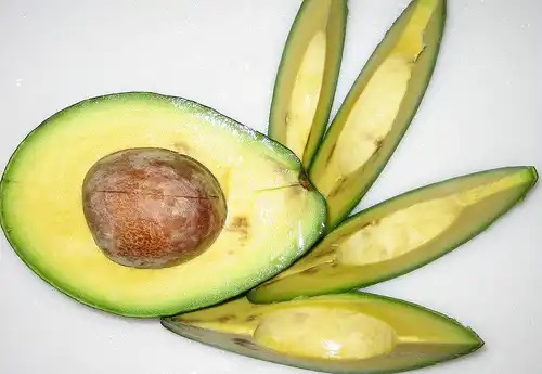 Avocado copt