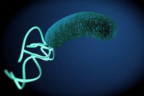 Bacterie ce produce infecții la stomac