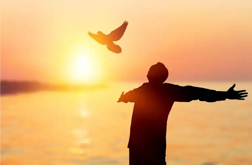 Om care simte că este liber